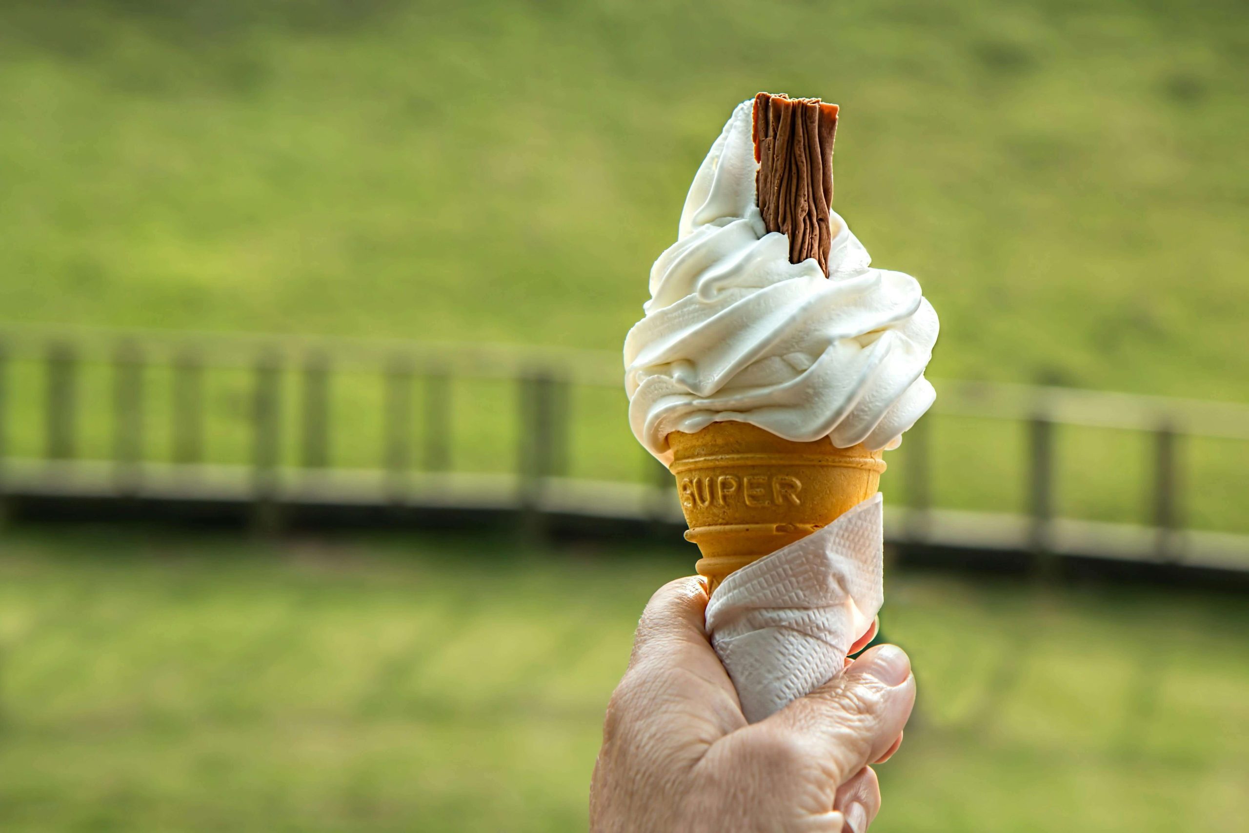Commercial Soft Ice Cream Machines A Buyer’s Guide
