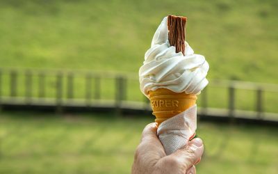 Soft Serve Ice Cream Machine Commercial Australia: Find Your Fit